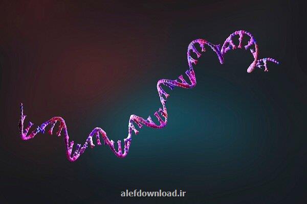 ایران چهارمین کشور جهان در تدوین استانداردهای فناوری نانو