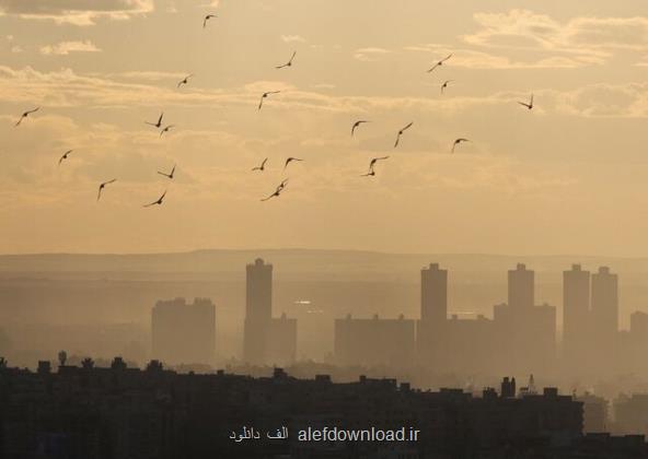 ردپای گردشگری در اقتصاد غیرنفتی مصر