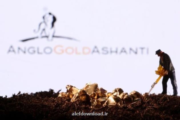 ریزش تولید برای غول طلا