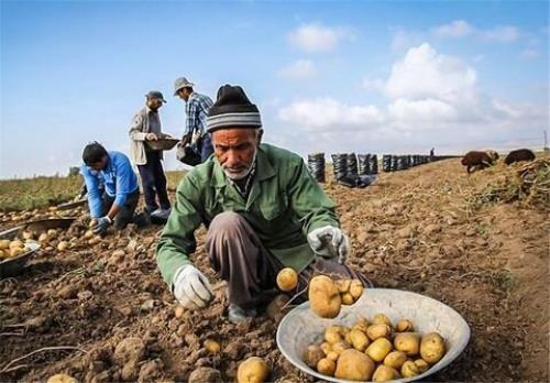 الزامات نقش آفرینی تشکل های روستایی در تحقق شعار سال چیست؟