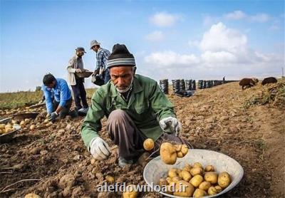 الزامات نقش آفرینی تشکل های روستایی در تحقق شعار سال چیست؟