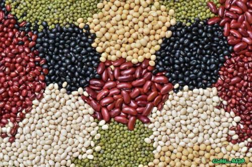 پیشنهاد نایب رییس کمیسیون کشاورزی برای کاهش قیمت حبوبات