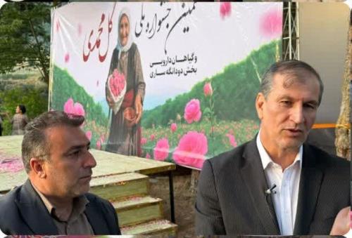 صادرات محصولات کشاورزی سالانه بیشتر از ۸ میلیارد دلار ارزآوری دارد