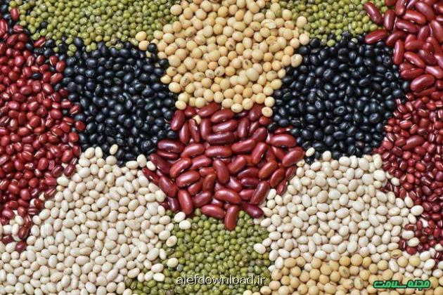 پیشنهاد نایب رییس کمیسیون کشاورزی برای کاهش قیمت حبوبات