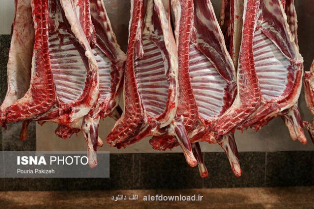 ادامه واردات گوشت یا توقف عرضه تصمیم چیست؟