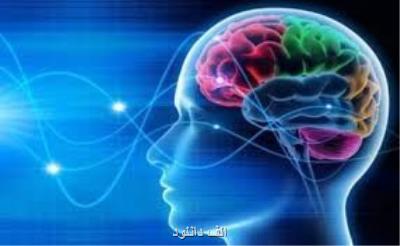 میكرو الكترود تنگستنی توسط محققان ایرانی طراحی و تولید شد
