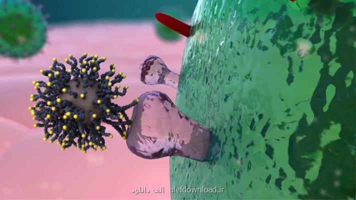 برنامه آموزش مجازی و نخستین اپلیكیشن اندرویدی كرونا ویروس ۲۰۱۹ طراحی شد