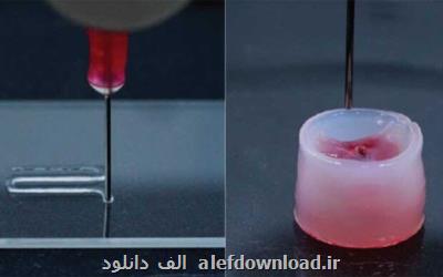 تركیب الیاف سلولز و نانوذرات زیست تخریب پذیر برای تولید جوهر
